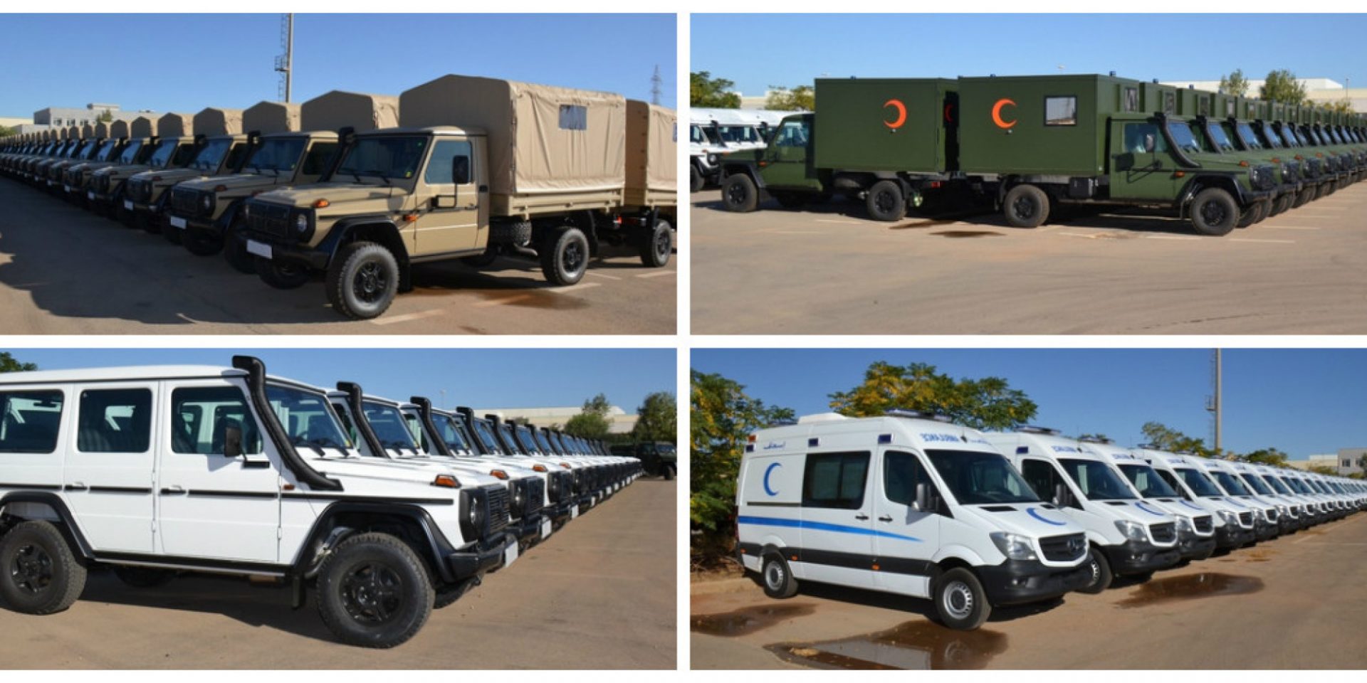 Mercedes-Benz (SAPPL-MB)