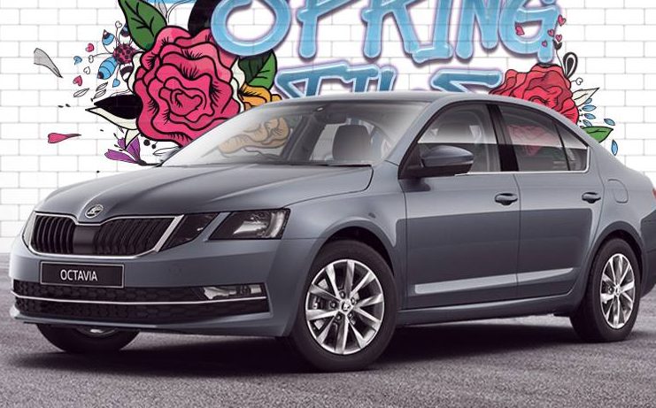 skoda octavia business sovac algérie