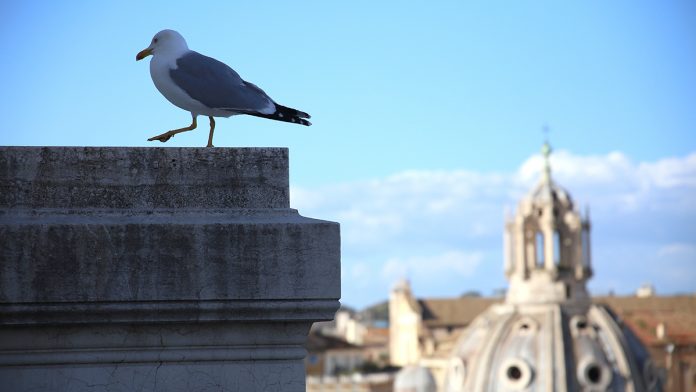 #500NatureChallenge : avec sa nouvelle campagne d'engagement social, Fiat appelle à des témoignages sur le nouvel équilibre homme-nature