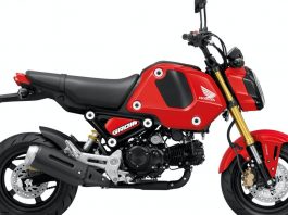 HONDA MSX125 GROM 2021