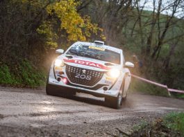 Peugeot 208 Rally 4