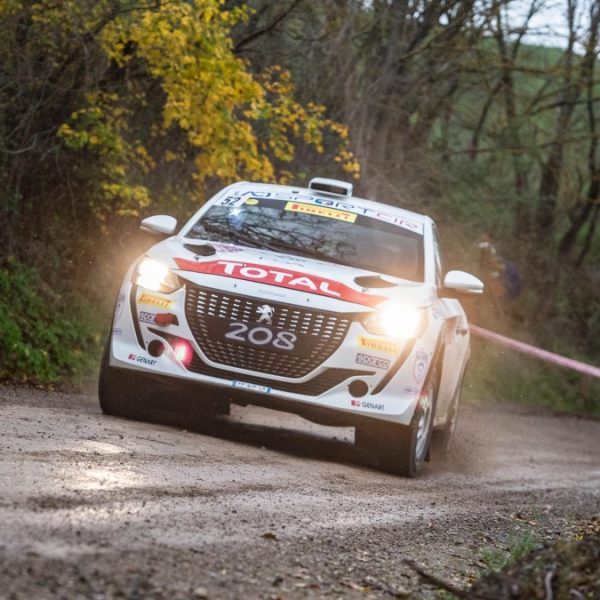 Peugeot 208 Rally 4