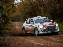 Peugeot 208 Rally 4