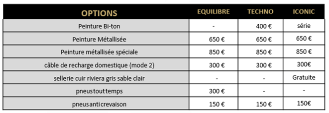 Renault Mégane E-Tech 100% électrique - Options