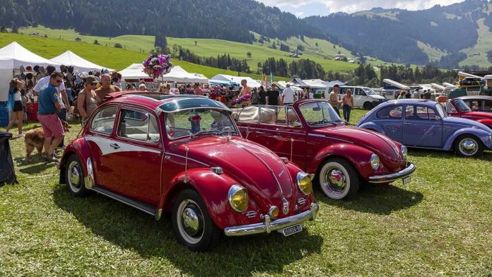 Meeting International Volkswagen Cox & Co