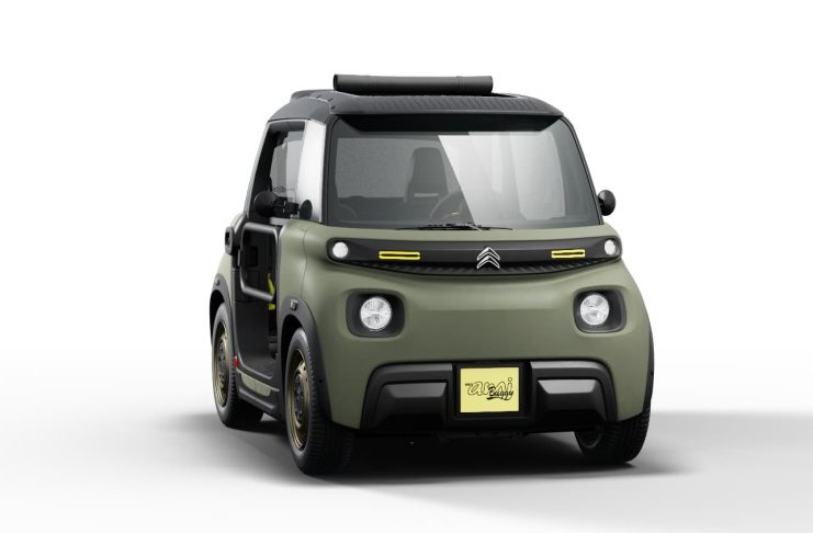 Citroen Ami buggy