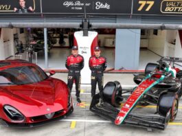 Alfa Romeo 33 Stradale - Formula One World Championship