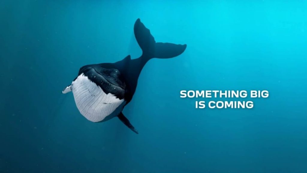 PEUGEOT adopte une vision ambitieuse pour le PEUGEOT E-5008, offrant une expérience 3D révolutionnaire Peugeot e-5008 3D