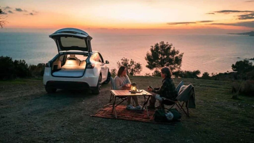 TESLA - Snuuzu ©Snuuzu