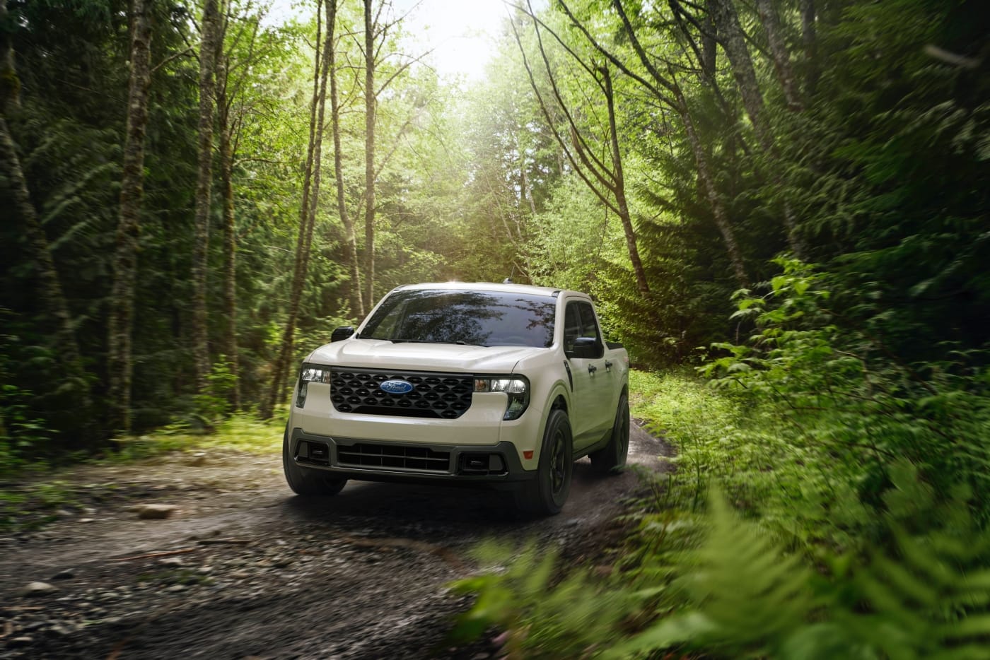 2025 Ford Maverick XLT FX4 in Desert Sand