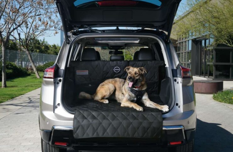 Nissan - accessoires animaux de compagnie