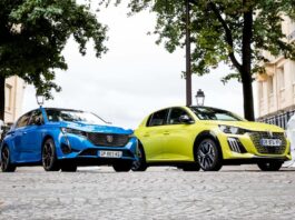 PEUGEOT et Born Free lancent une nouvelle campagne digitale « Powered by Lions », au Mondial de l'Automobile de Paris 2024