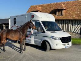 Le Sprinter Van Mercedes - l'excellence au service des écuries de prestige