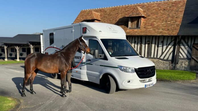 Le Sprinter Van Mercedes - l'excellence au service des écuries de prestige