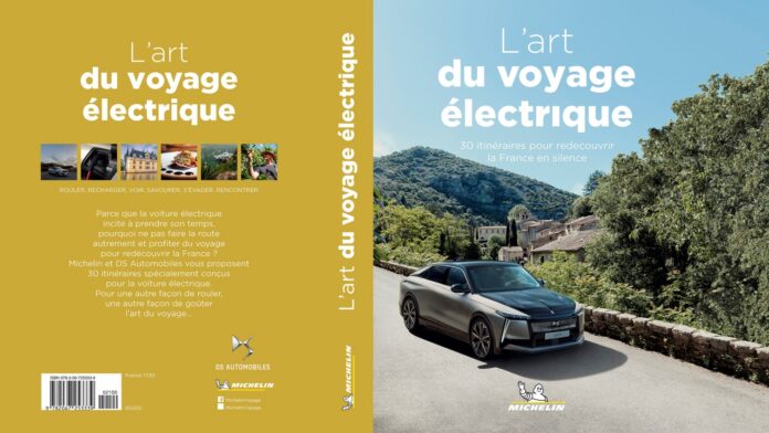 DS Automobiles michelin