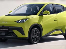 BYD Dolphin Surf