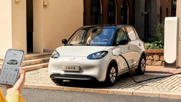 Wuling Binguo EV 2025