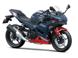 Kawasaki Ninja 500