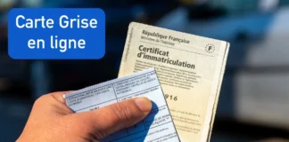 Carte grise : comment éviter les erreurs qui retardent votre immatriculation Faire sa carte grise en ligne